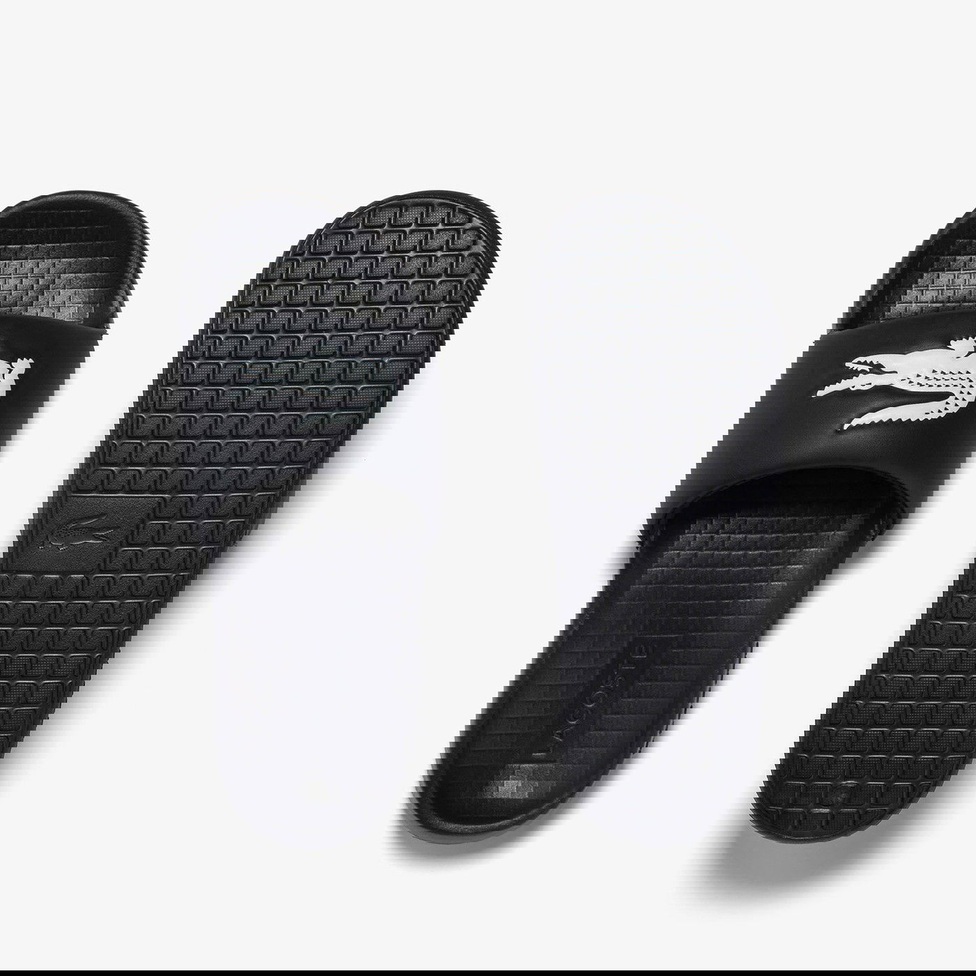 Шльопанці чоловічі Lacoste CROCO 1.0