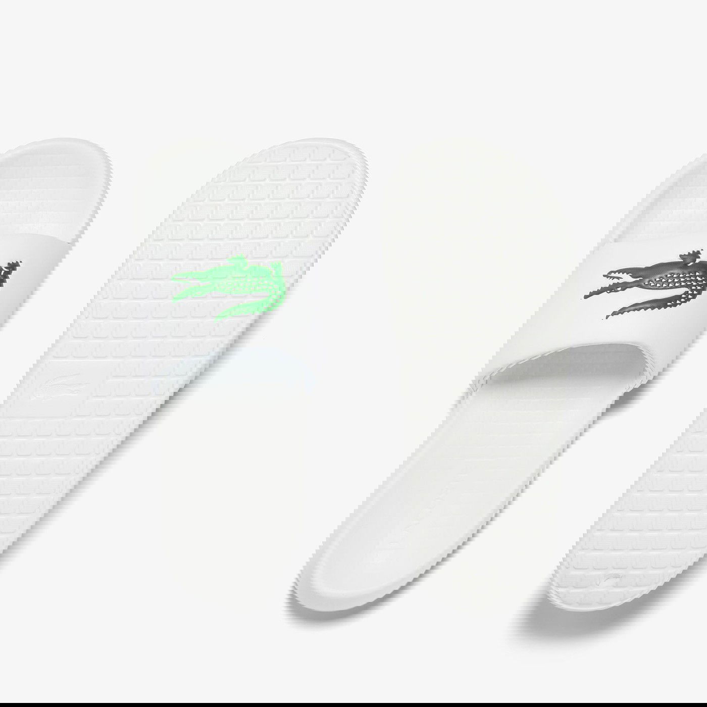 Шльопанці чоловічі Lacoste CROCO 1.0
