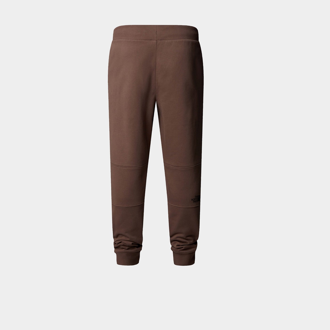 Спортивні Штани чоловічі The North Face FINE