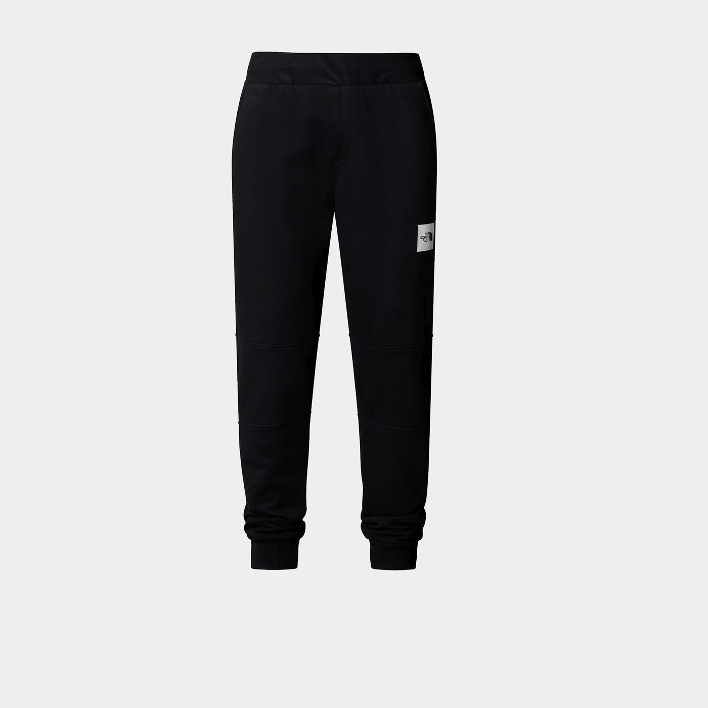Спортивні Штани чоловічі The North Face FINE