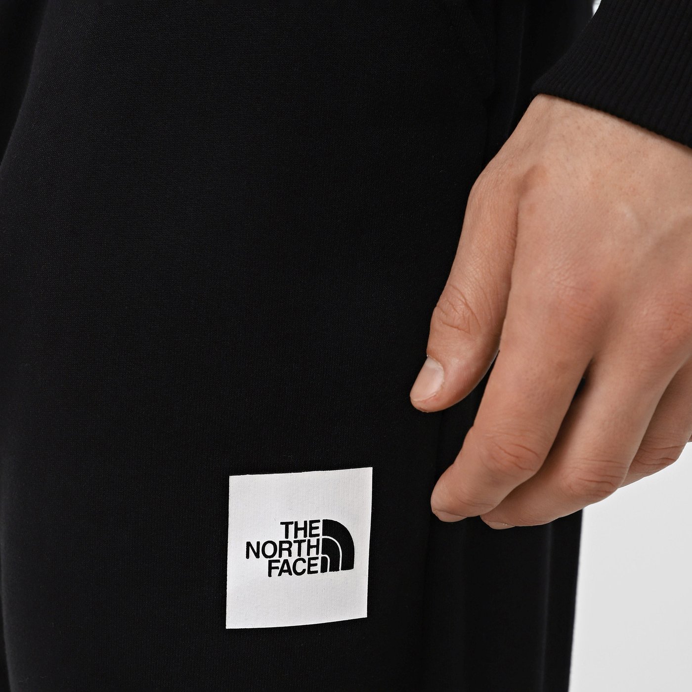 Спортивні Штани чоловічі The North Face FINE