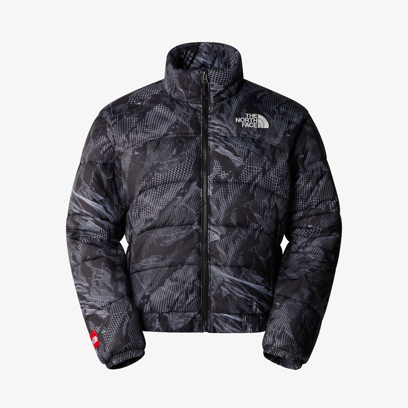 Куртка чоловіча The North Face 2000 SYNTHETIC PUFFER