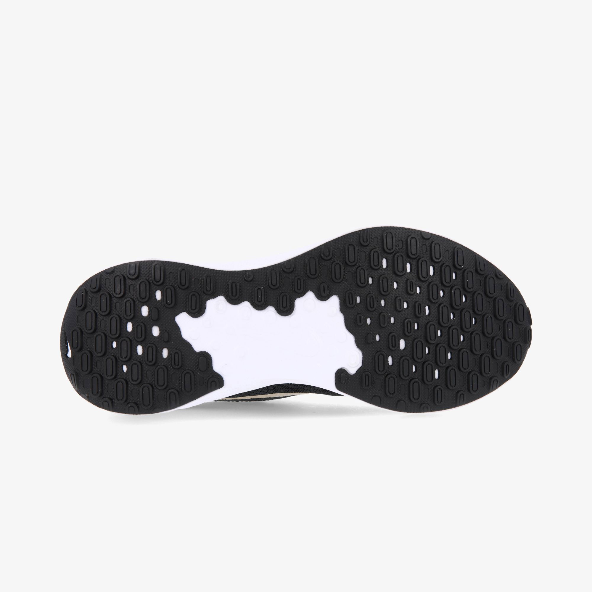 Кросівки жіночі Nike REVOLUTION 7 ROAD RUNNİNG